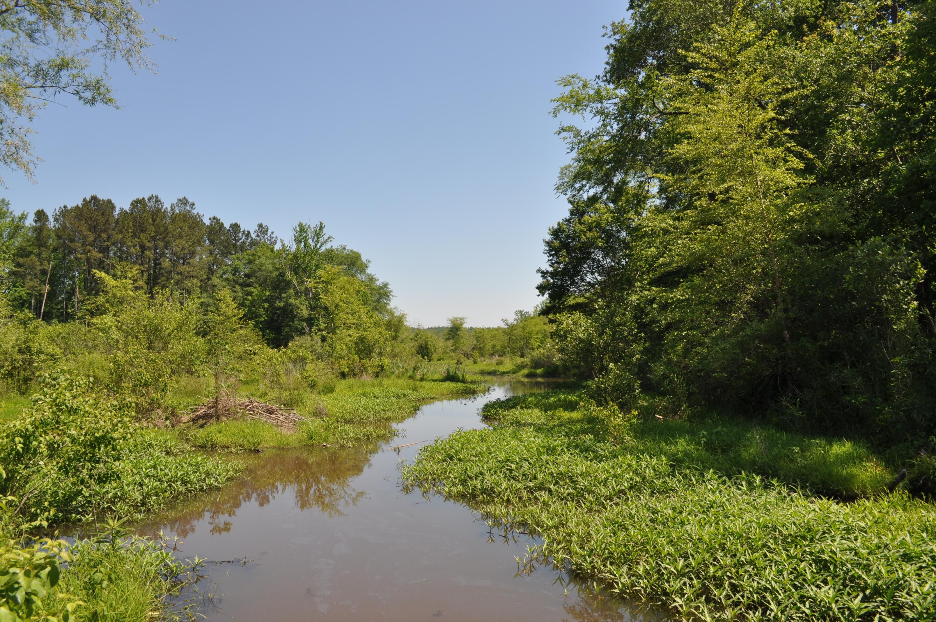 27 acres in Oglethorpe County,