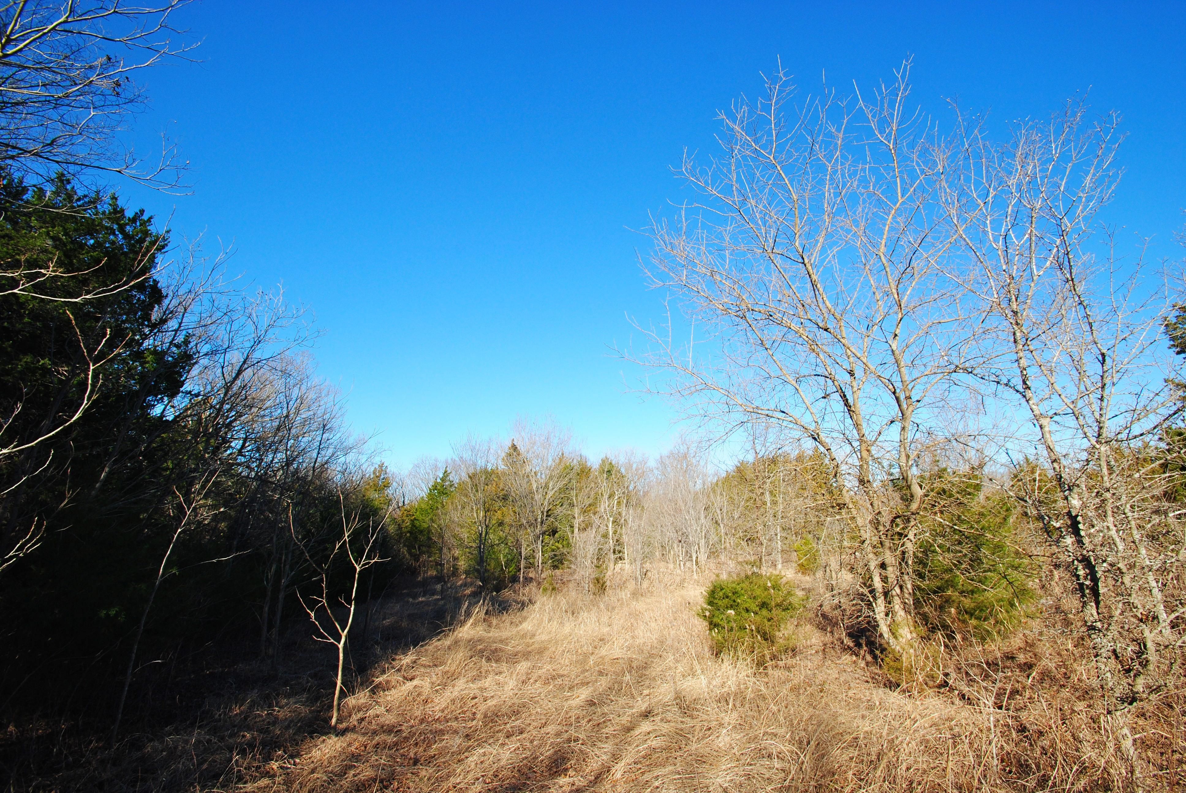 40 acres in Kaufman County, Texas