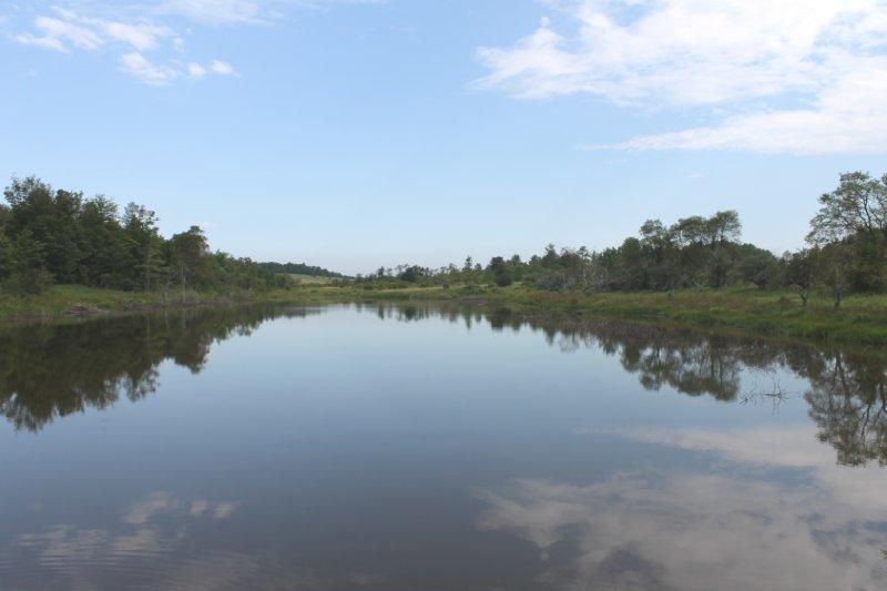 Chapin Road, NY 13072