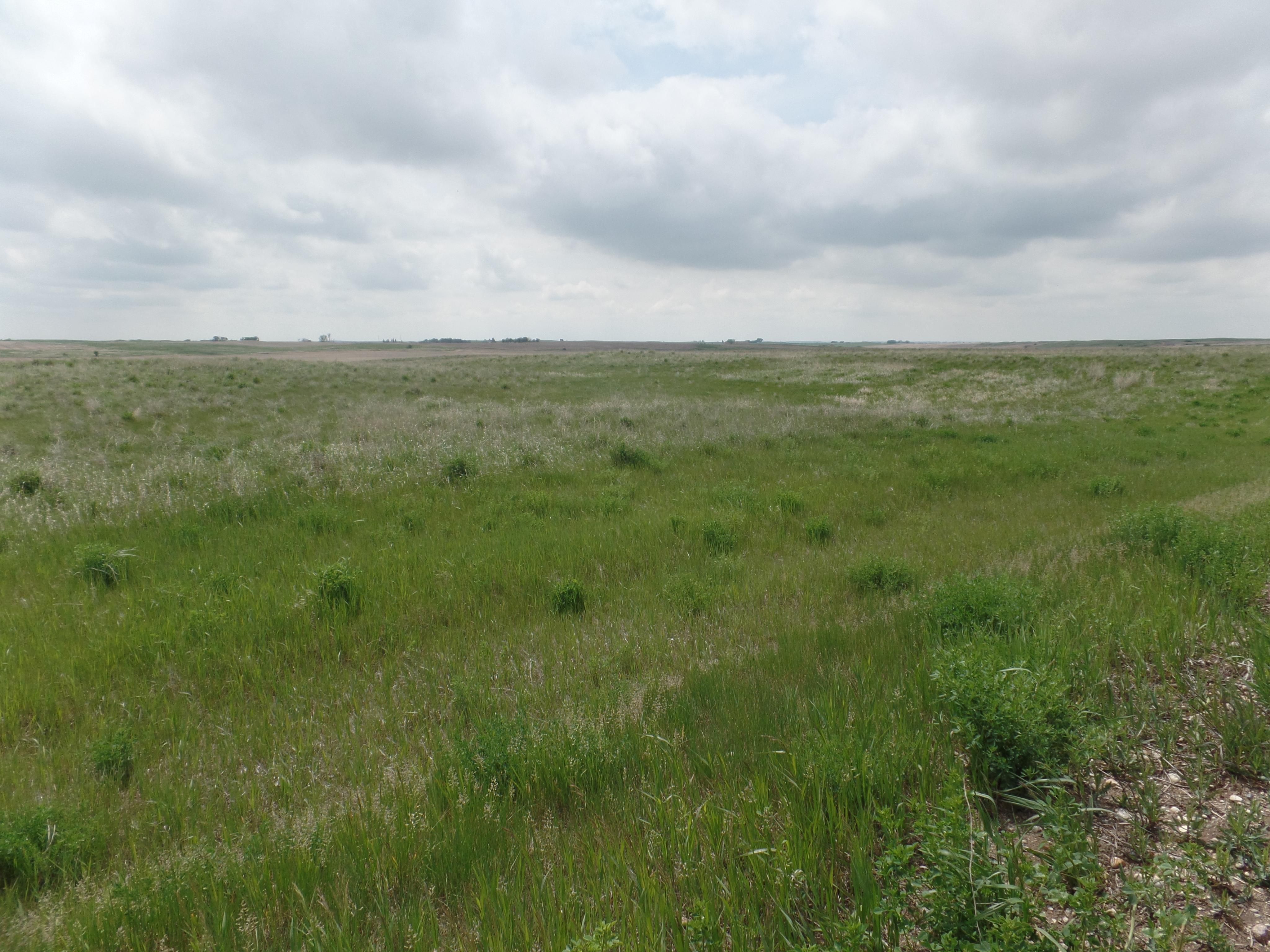118 acres in McLean County, North Dakota