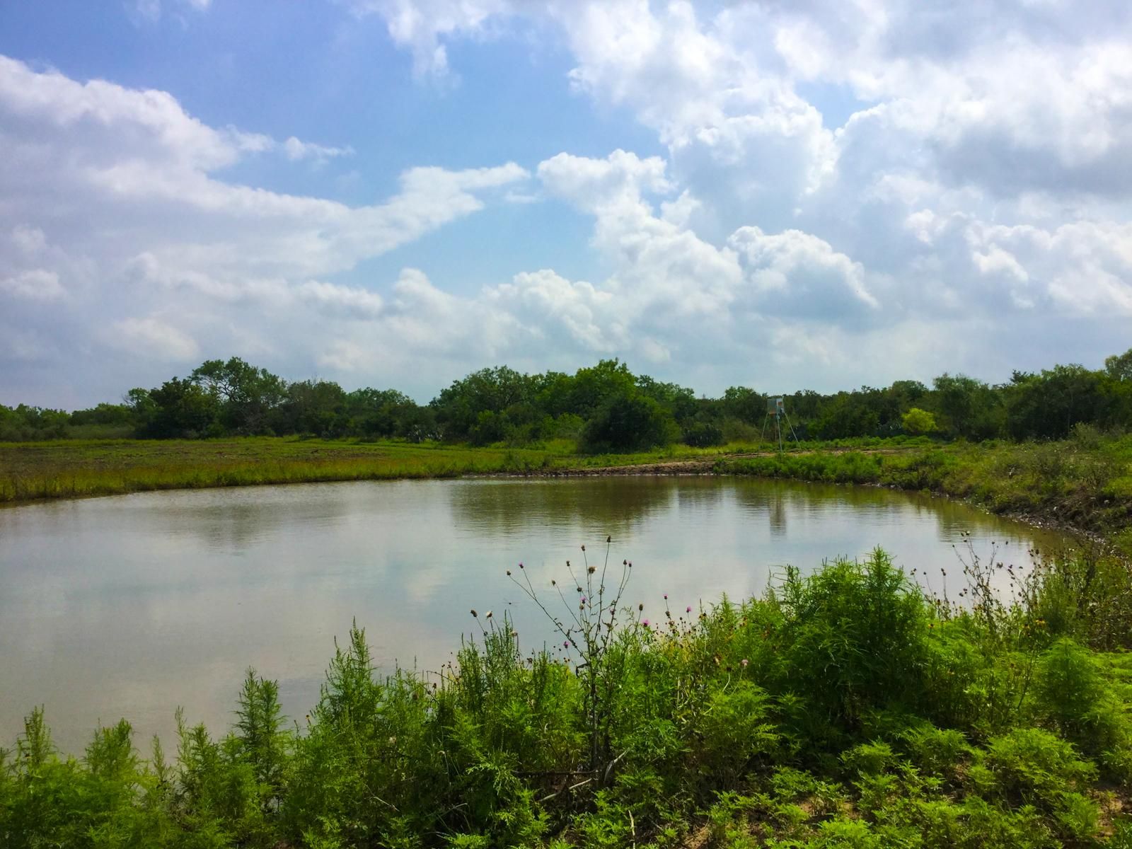 158 acres in Frio County, Texas