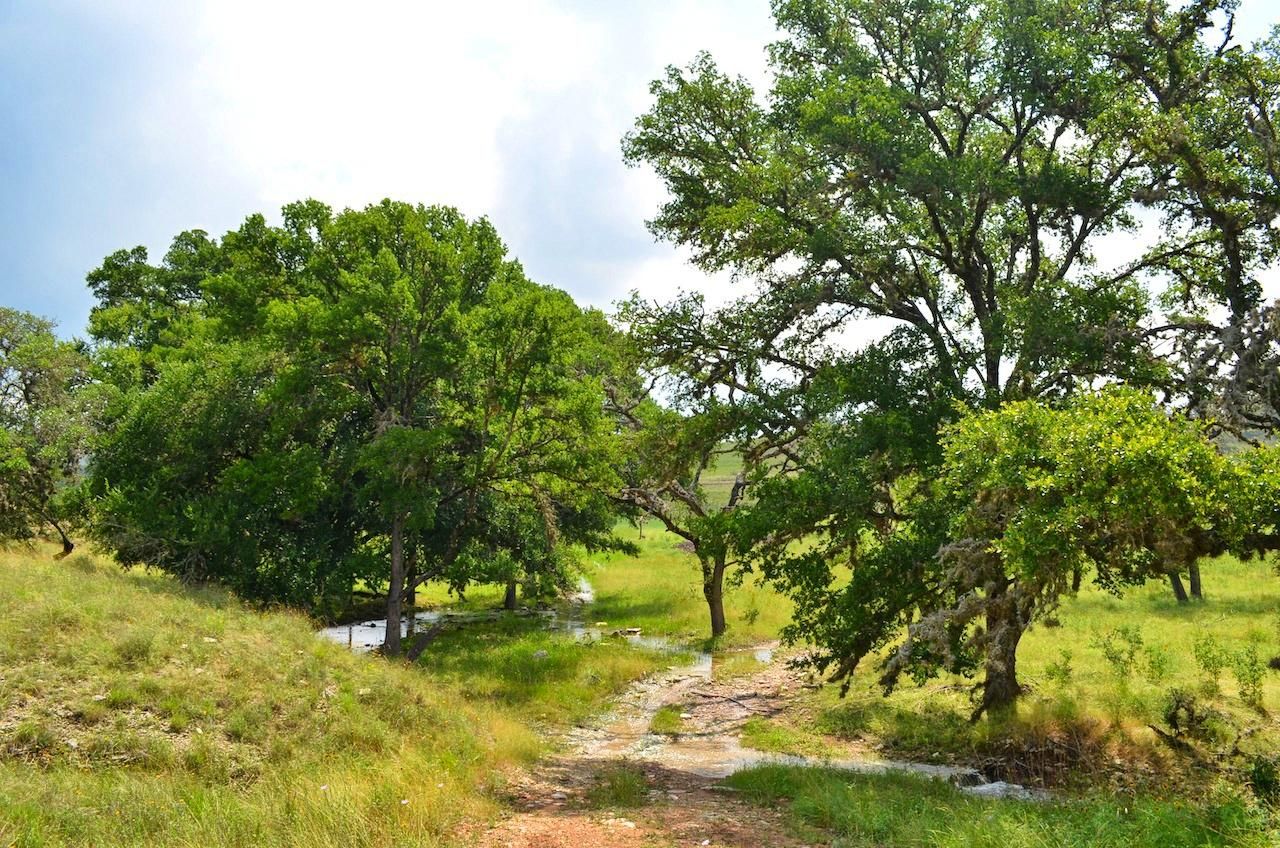 36 acres in Kendall County, Texas