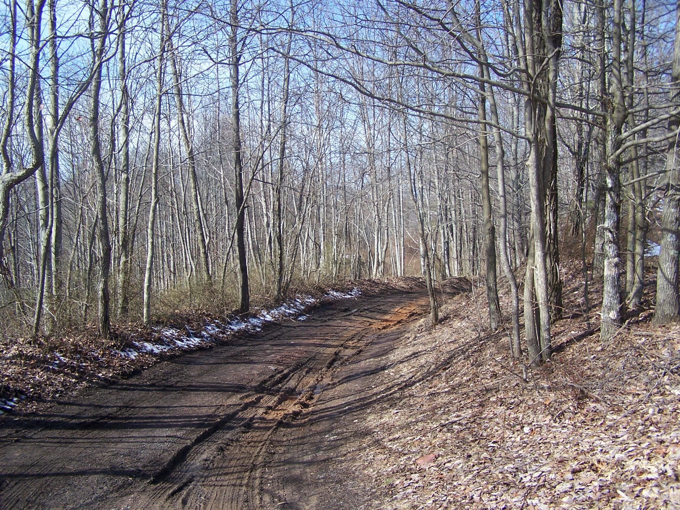 Middle Creek, Cedar Bluff, VA 24609