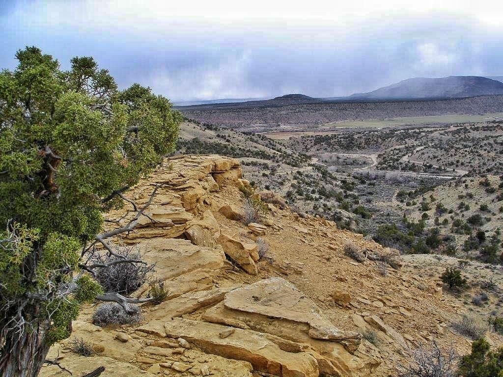 20 acres in Duchesne County, Utah