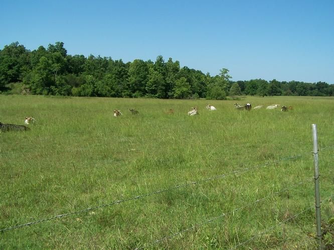 169 acres in Randolph County, Arkansas