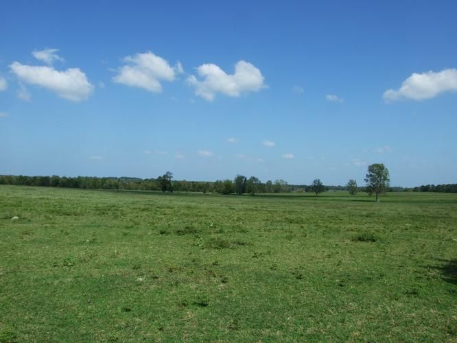1,745 acres in Marengo County, Alabama