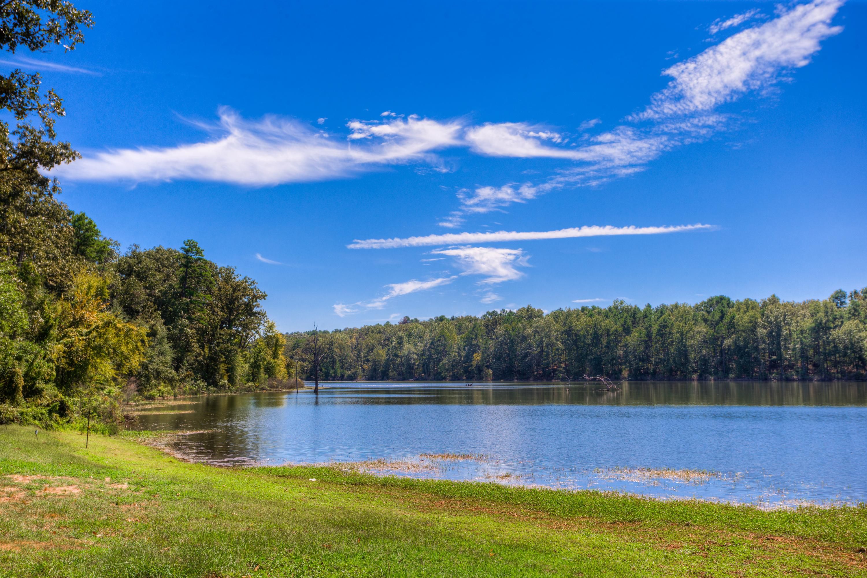 850 acres in Camp County, Texas