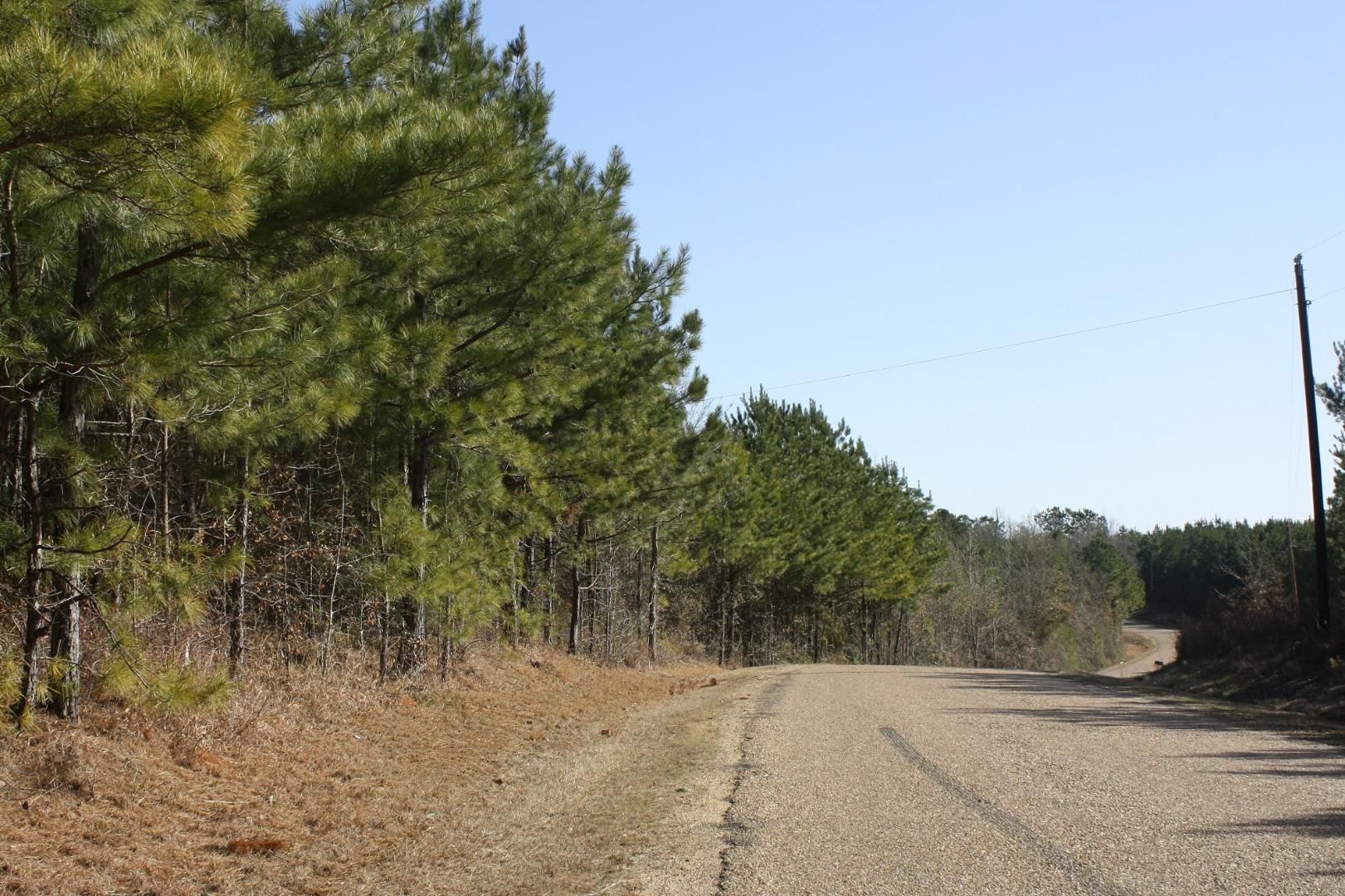 442 acres in Lincoln County, Mississippi