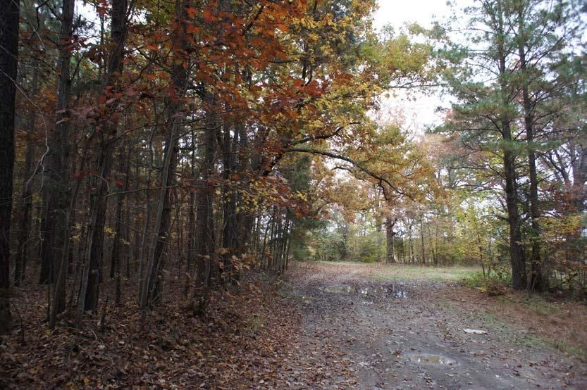 124.49 acres in Vance County, North Carolina