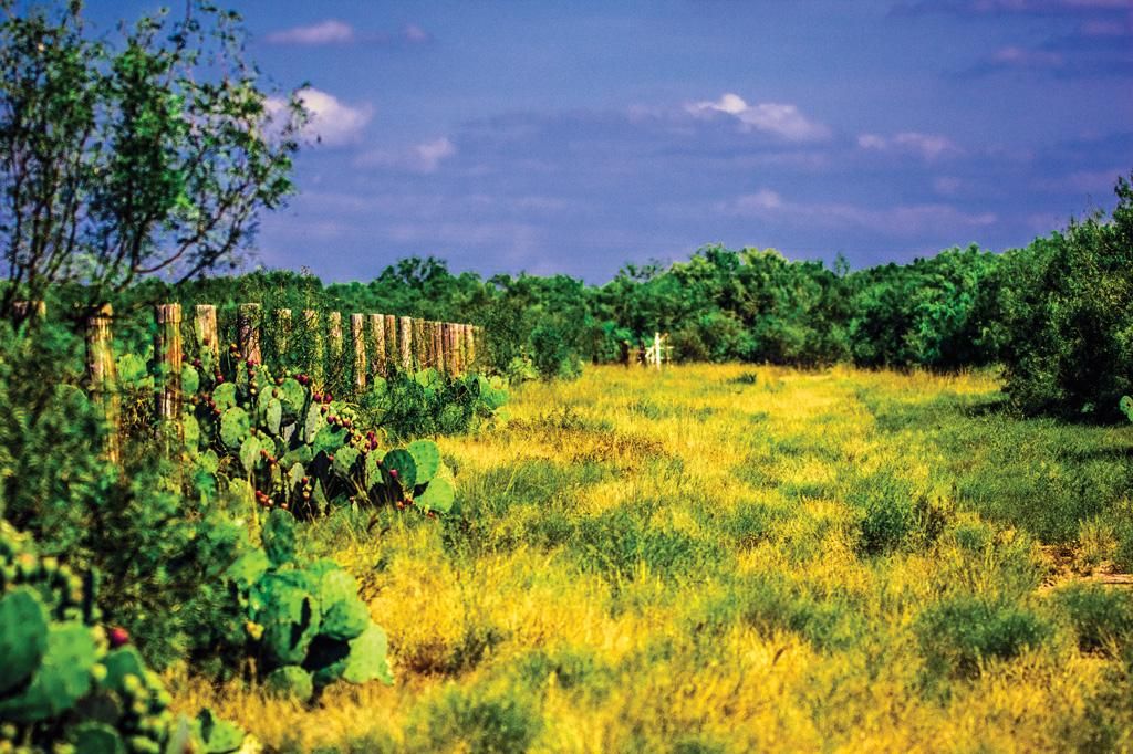 2,002 acres in La Salle County, Texas