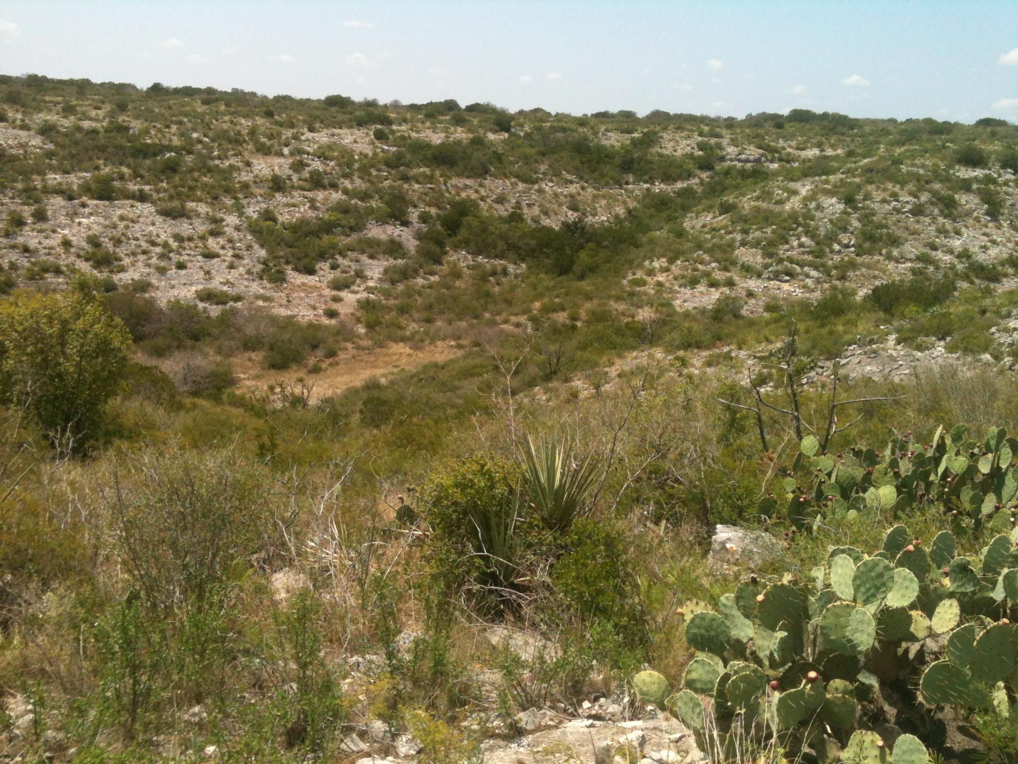 41.24 acres in Kinney County, Texas