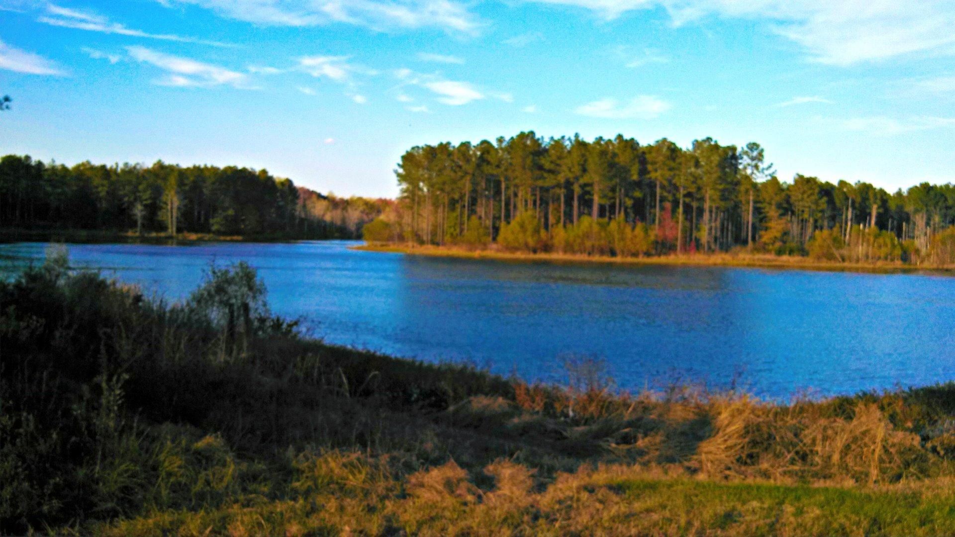 1,153 acres in Screven County,