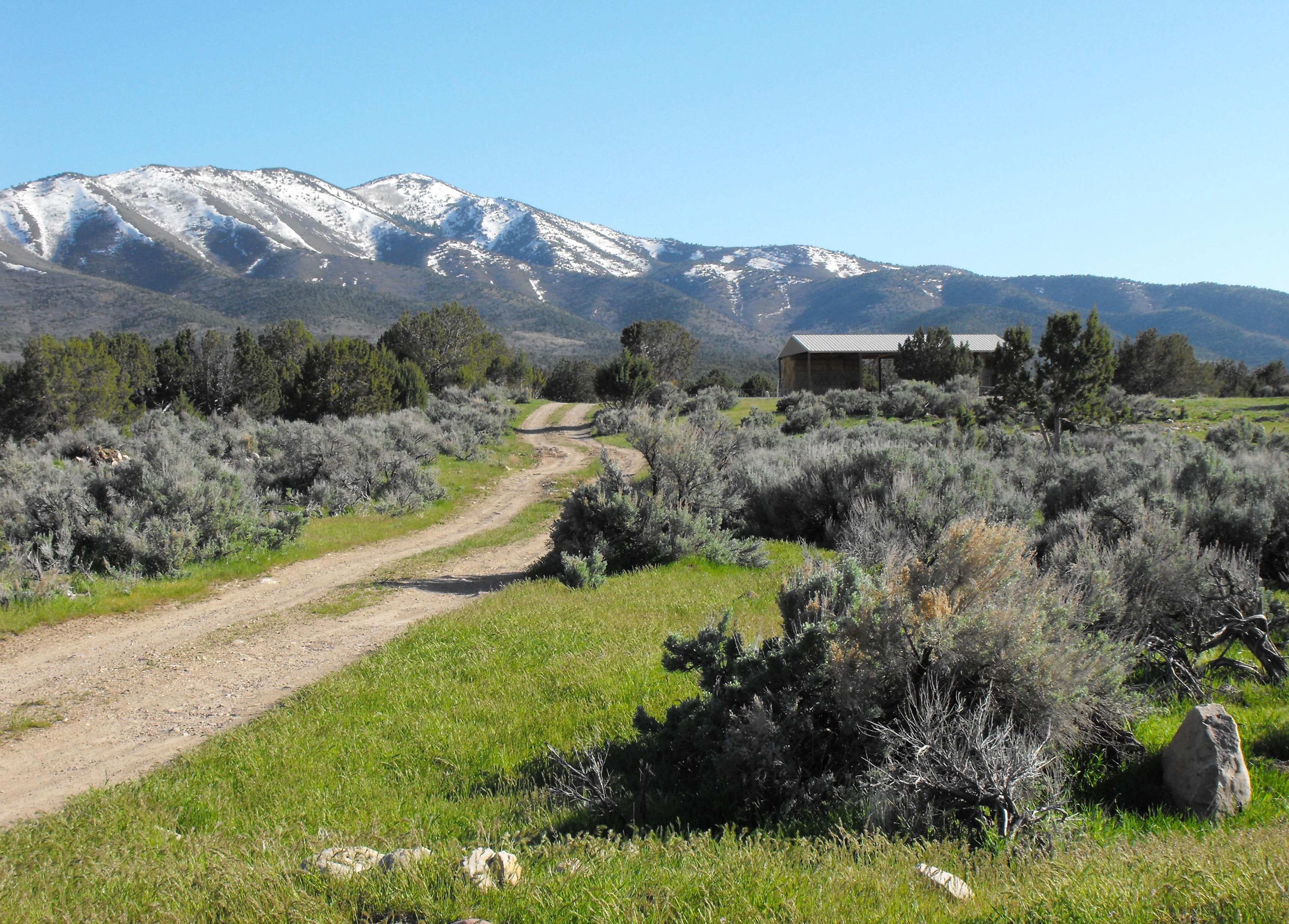 20 acres in Millard County, Utah
