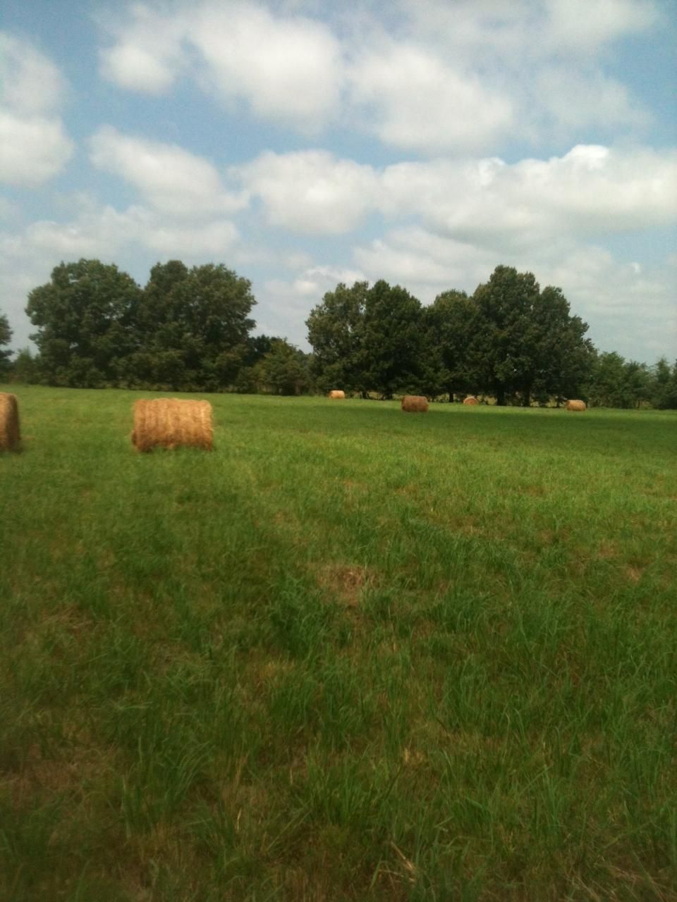 475 acres in Miller County, Arkansas