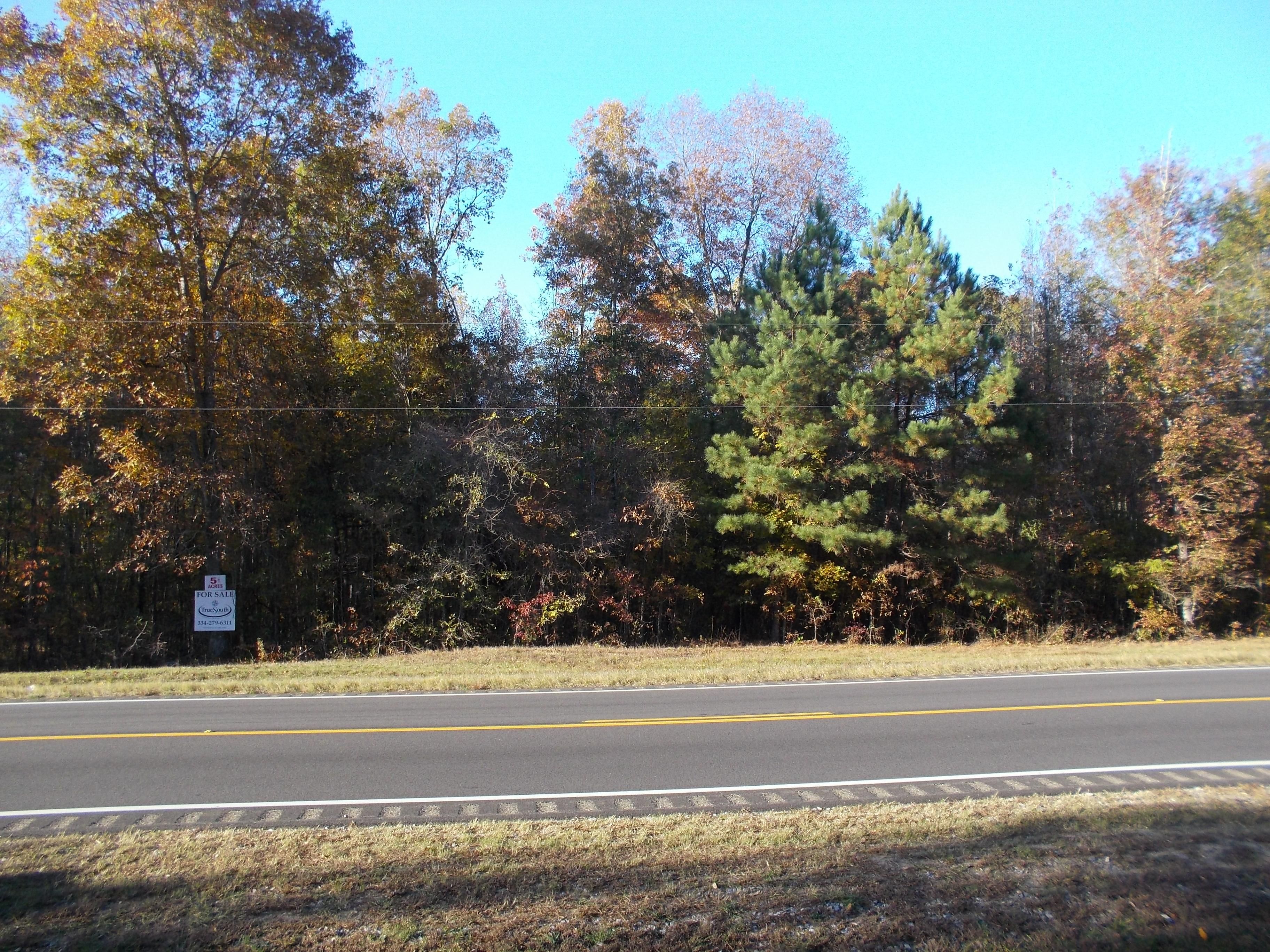 5 acres in Elmore County, Alabama