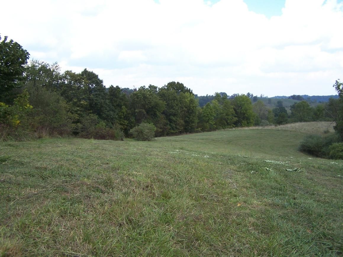 39.5 acres in Wood County, West Virginia