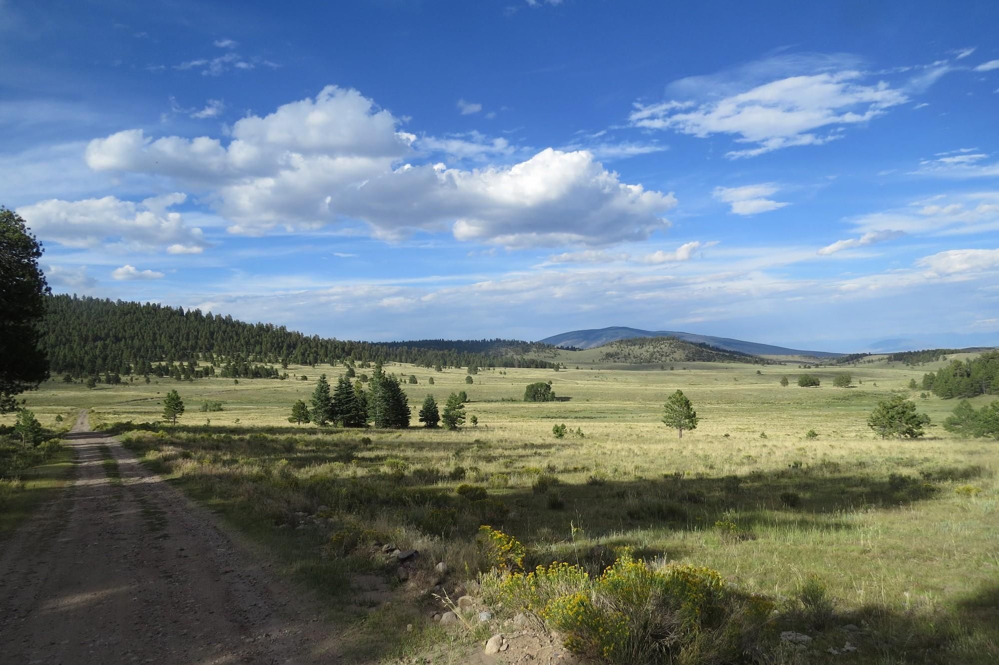 160 acres in Rio Arriba County, New Mexico