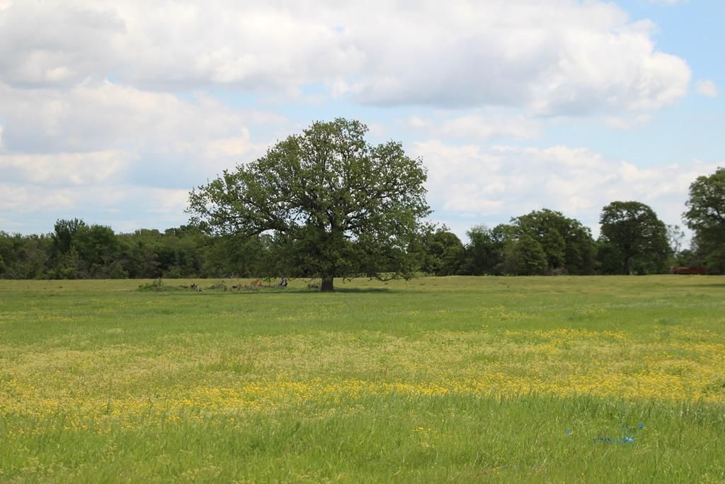 230 acres in Haskell County, Oklahoma