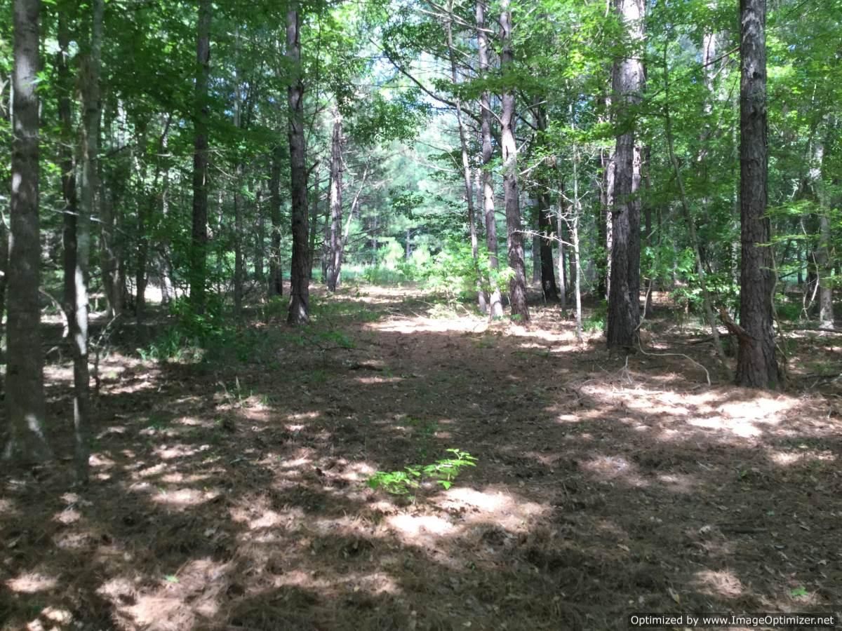 21.13 acres in Hinds County, Mississippi