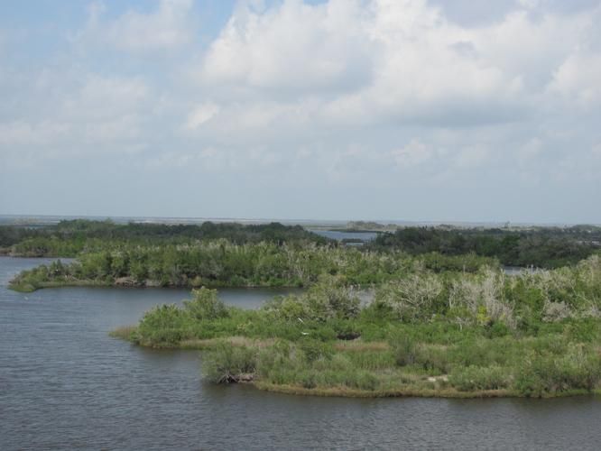 3,150 acres in Cameron Parish, Louisiana