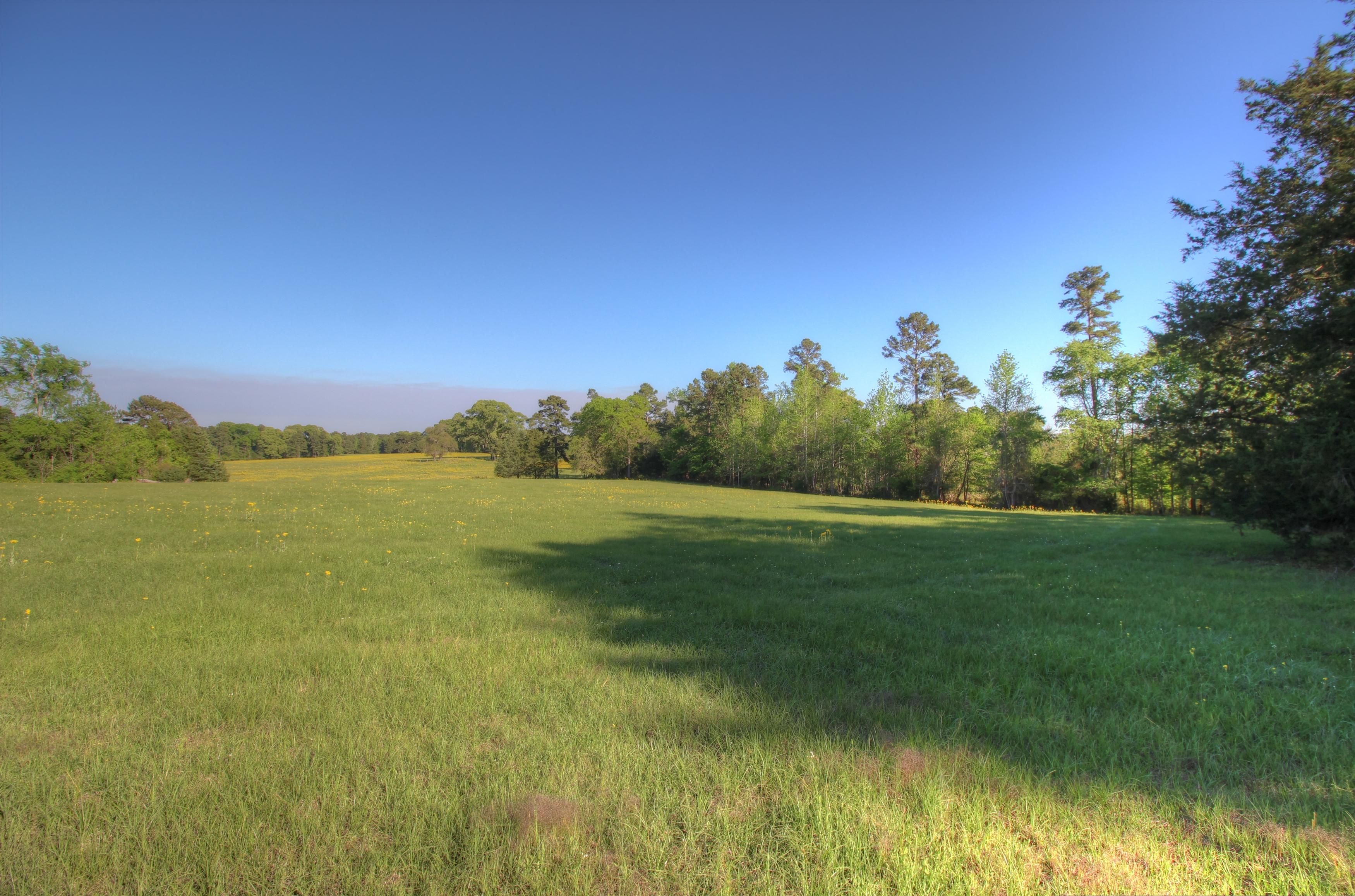 127.08 acres in Cherokee County, Texas
