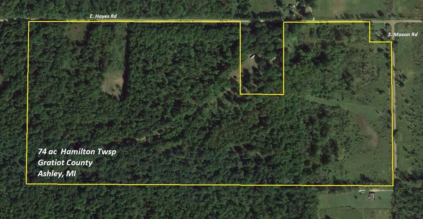 74 acres in Gratiot County, Michigan