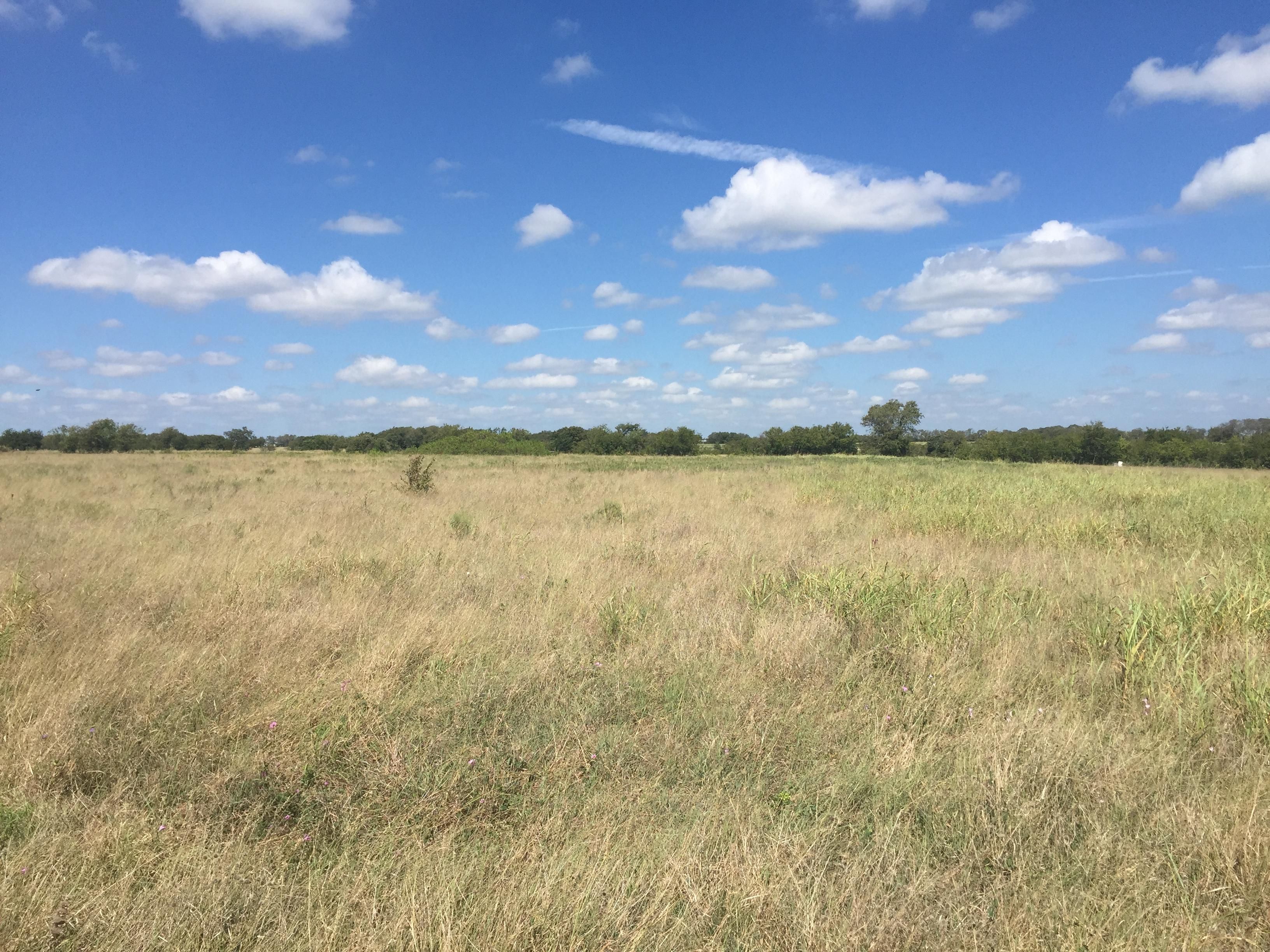 11.25 acres in Ellis County, Texas