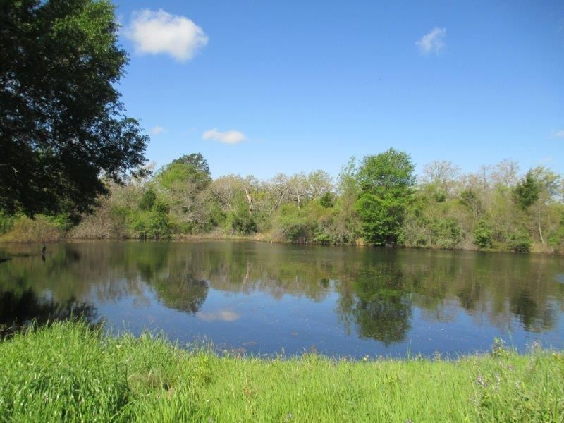 57 acres in Milam County, Texas