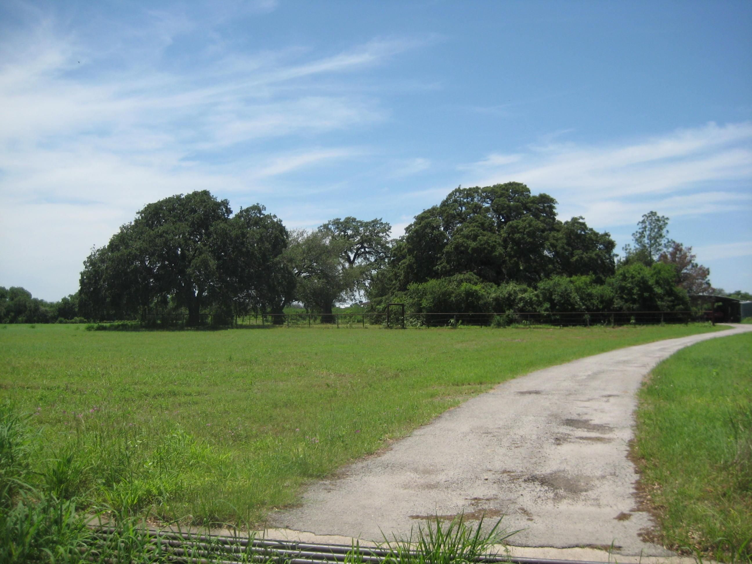 7 acres in Live Oak County, Texas