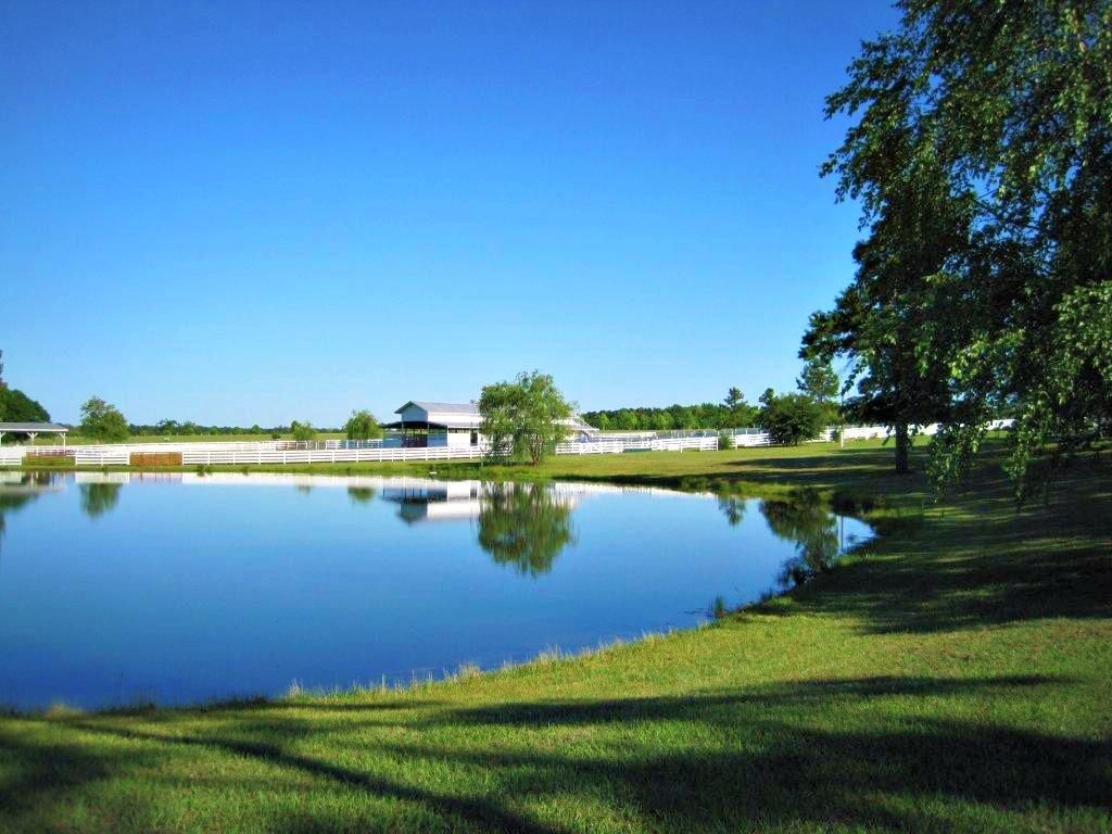 190 acres in Jenkins County,