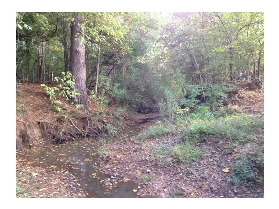 200 acres in Claiborne Parish, Louisiana