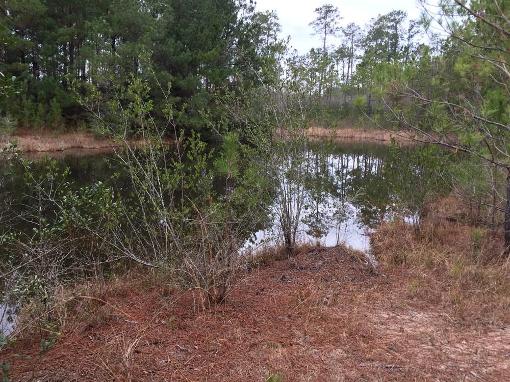 Off CR 1520, Warren, TX 77664