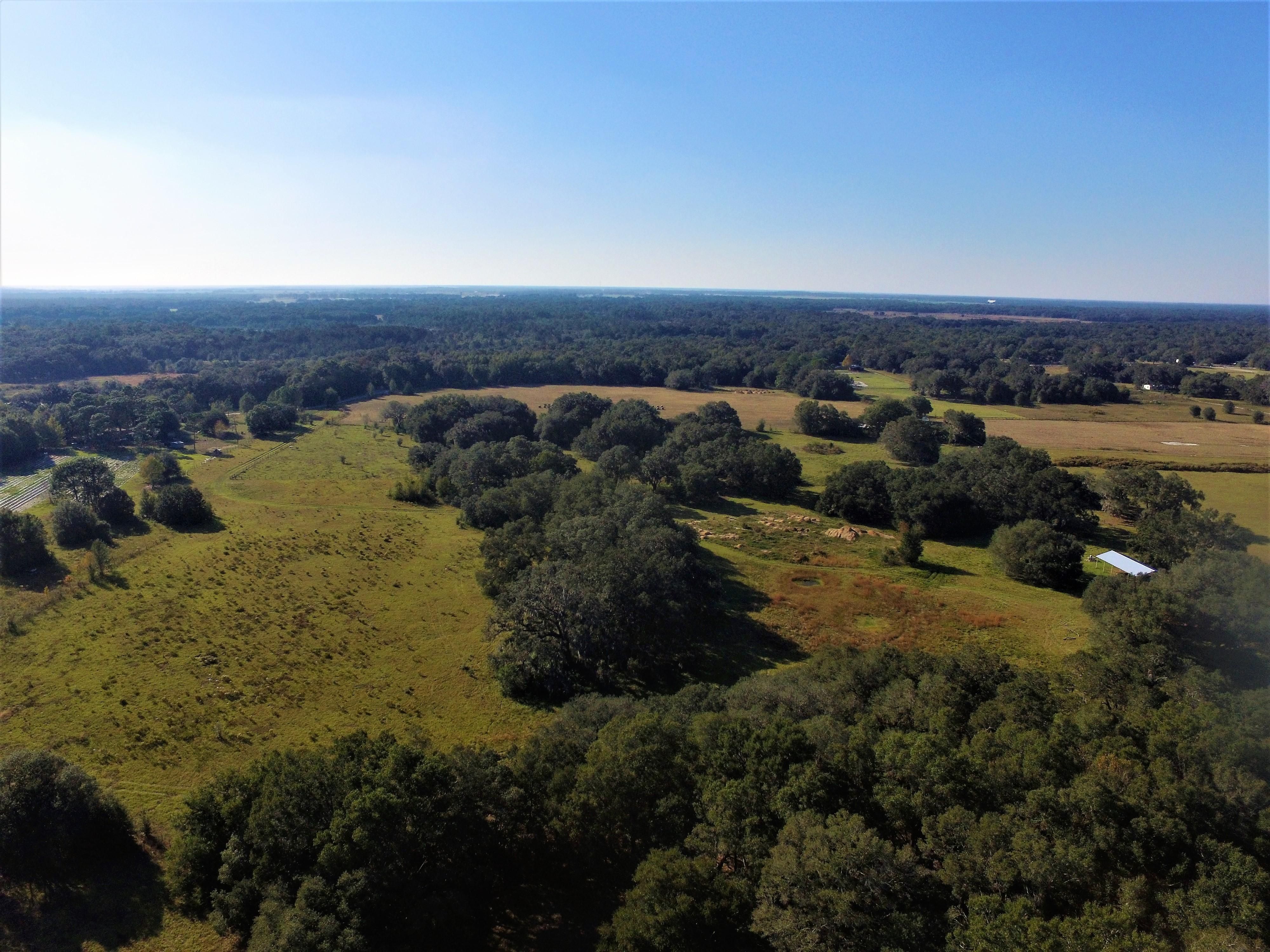 20 acres in Levy County, Florida