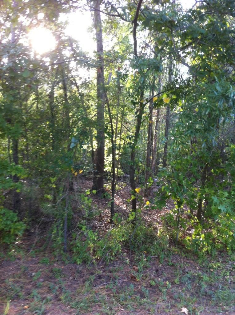 2 acres in Gregg County, Texas