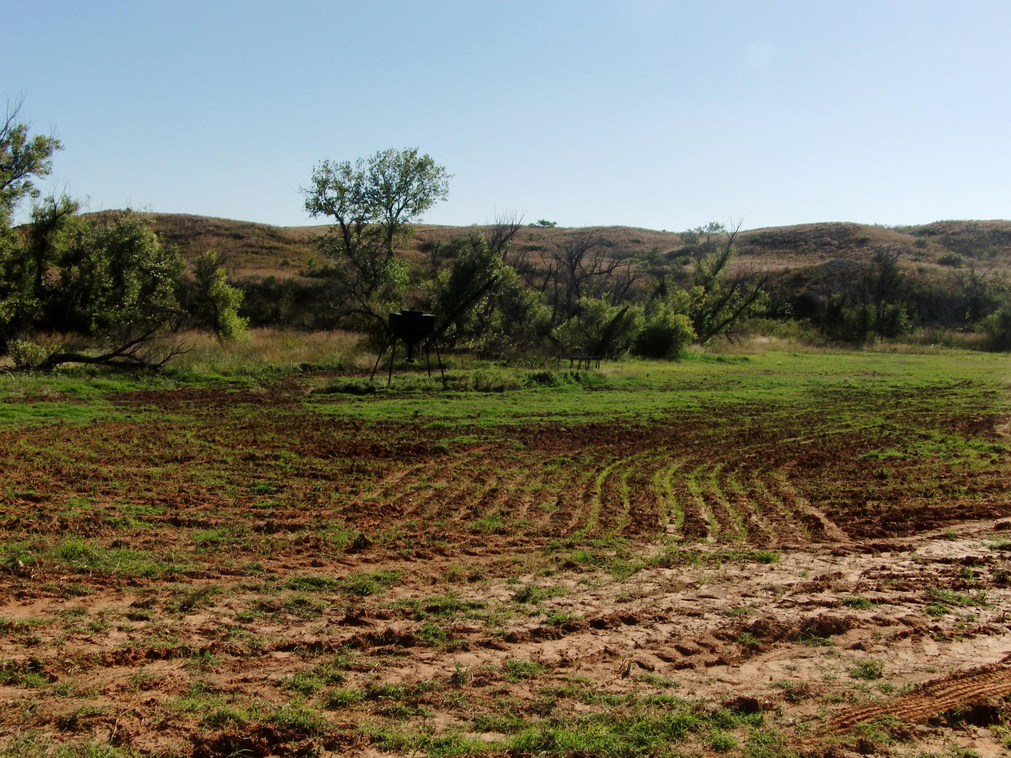 642 acres in Wheeler County, Texas