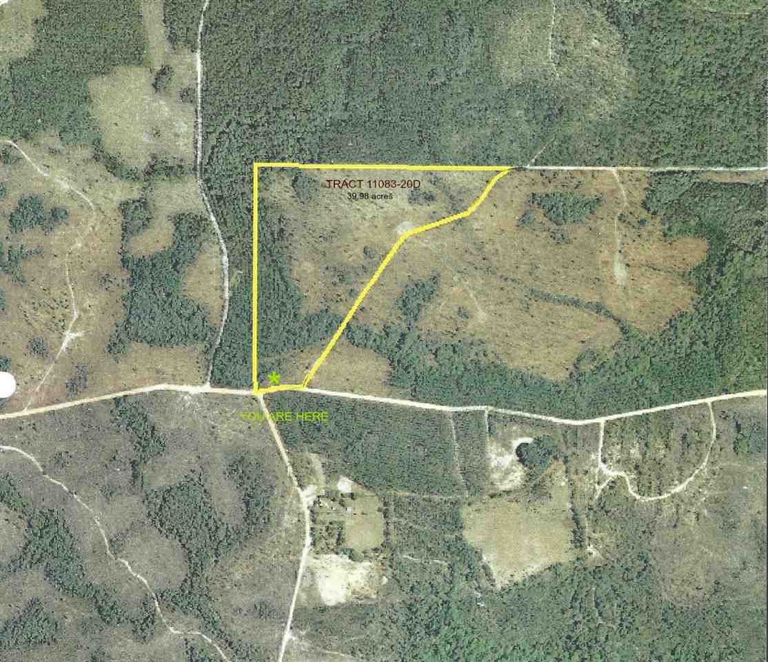 40 acres in Liberty County, Florida