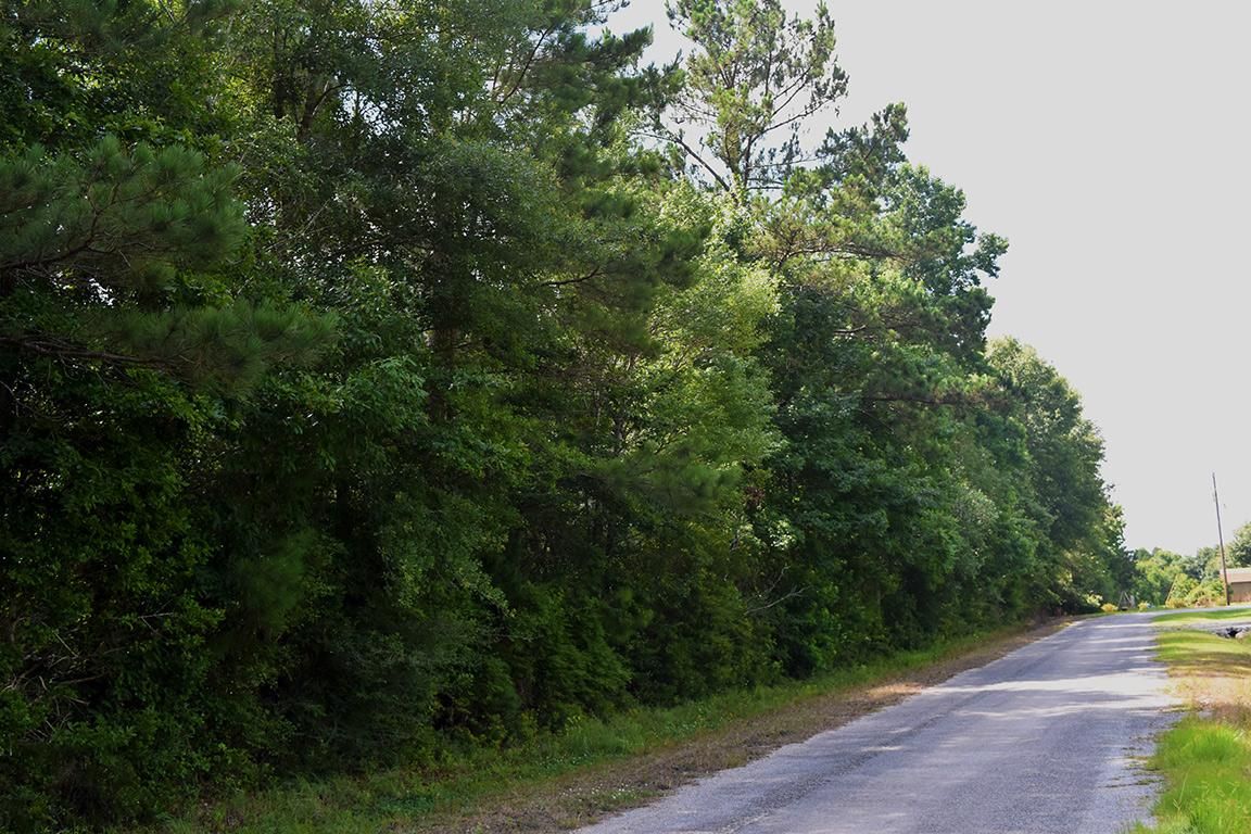 40 acres in Beauregard Parish, Louisiana