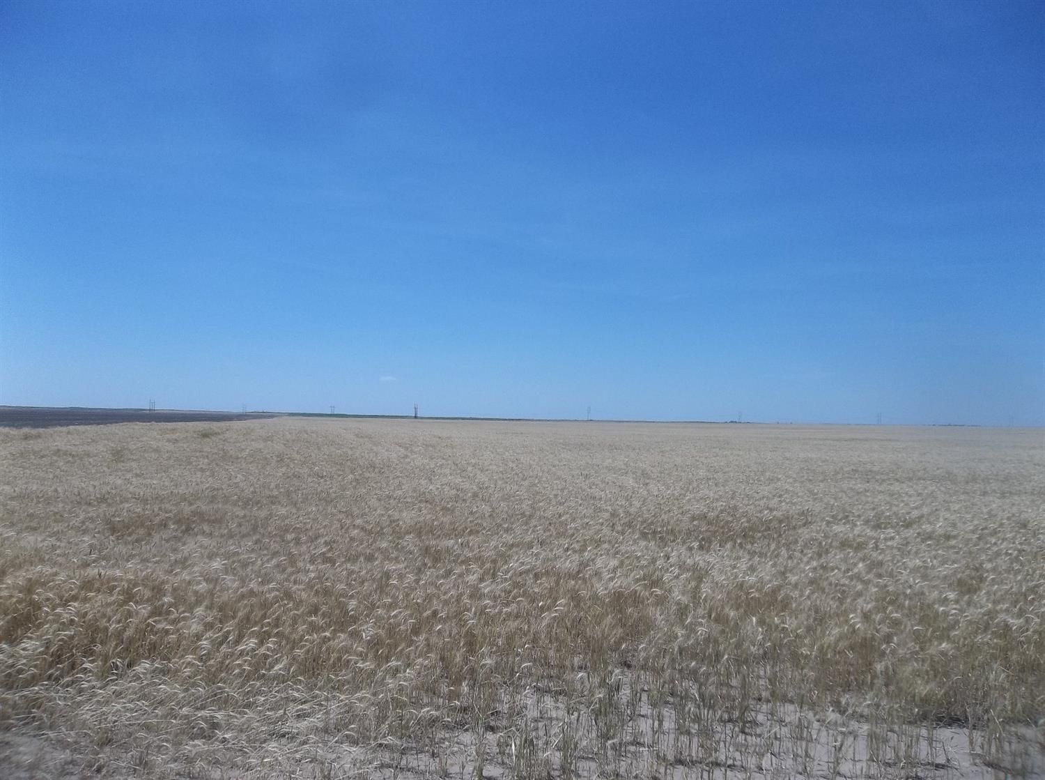 282 acres in Stevens County, Kansas