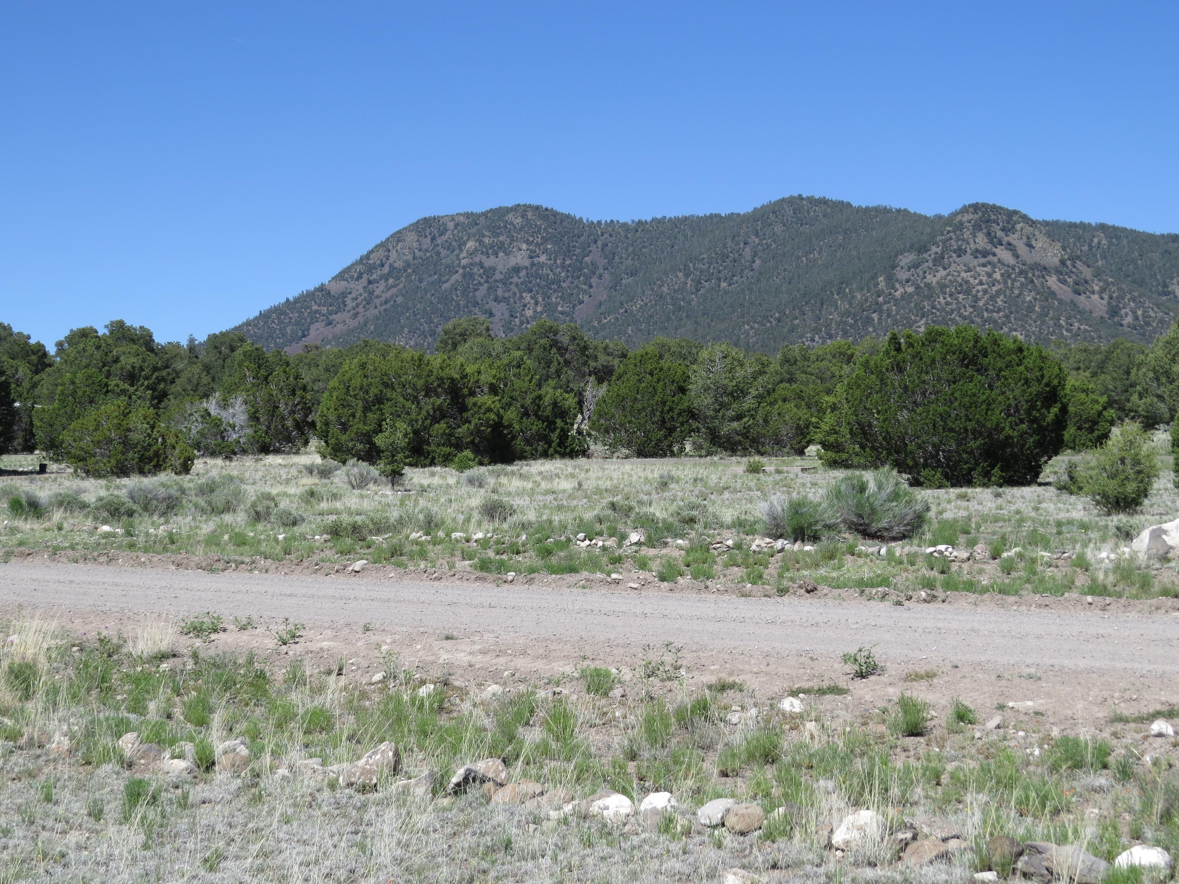 140 acres in Catron County, New Mexico