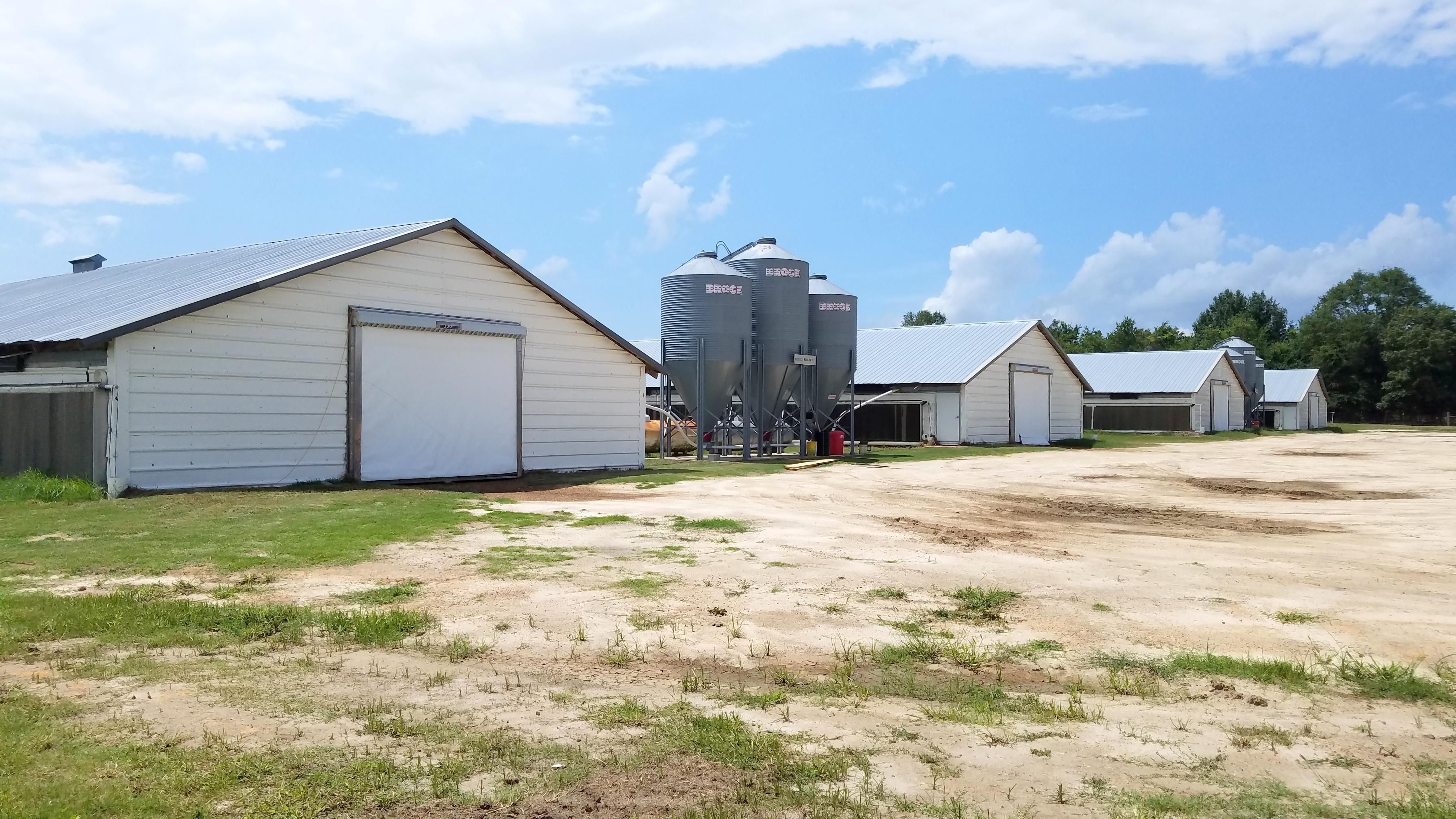 10 acres in Wilcox County,