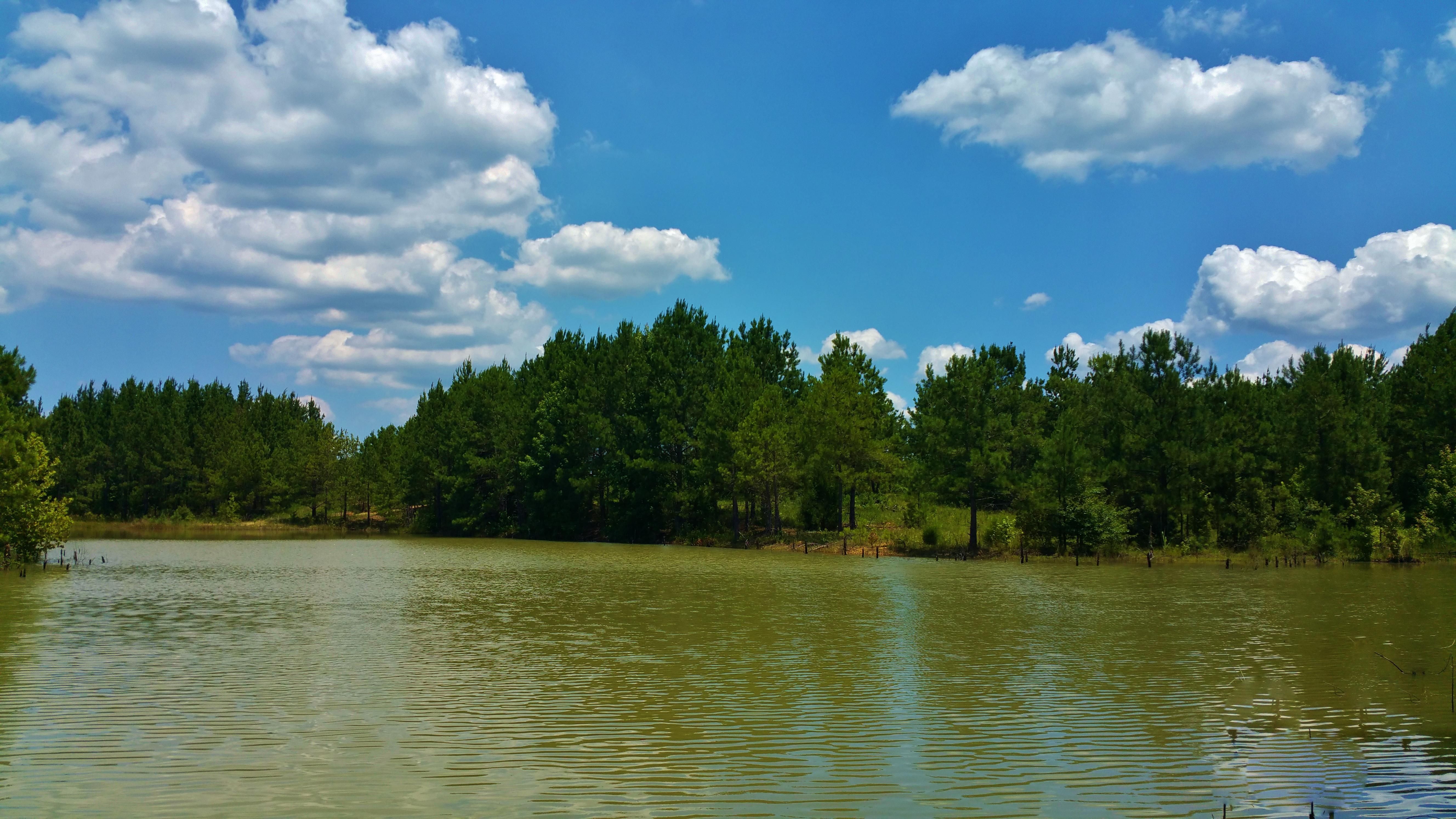 200 acres in Chilton County, Alabama