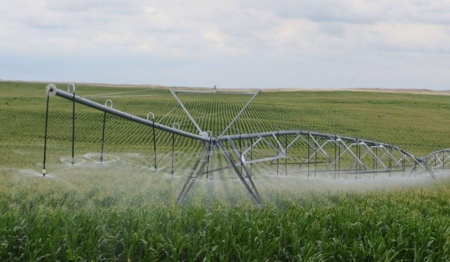 7 acres in Phelps County, Nebraska