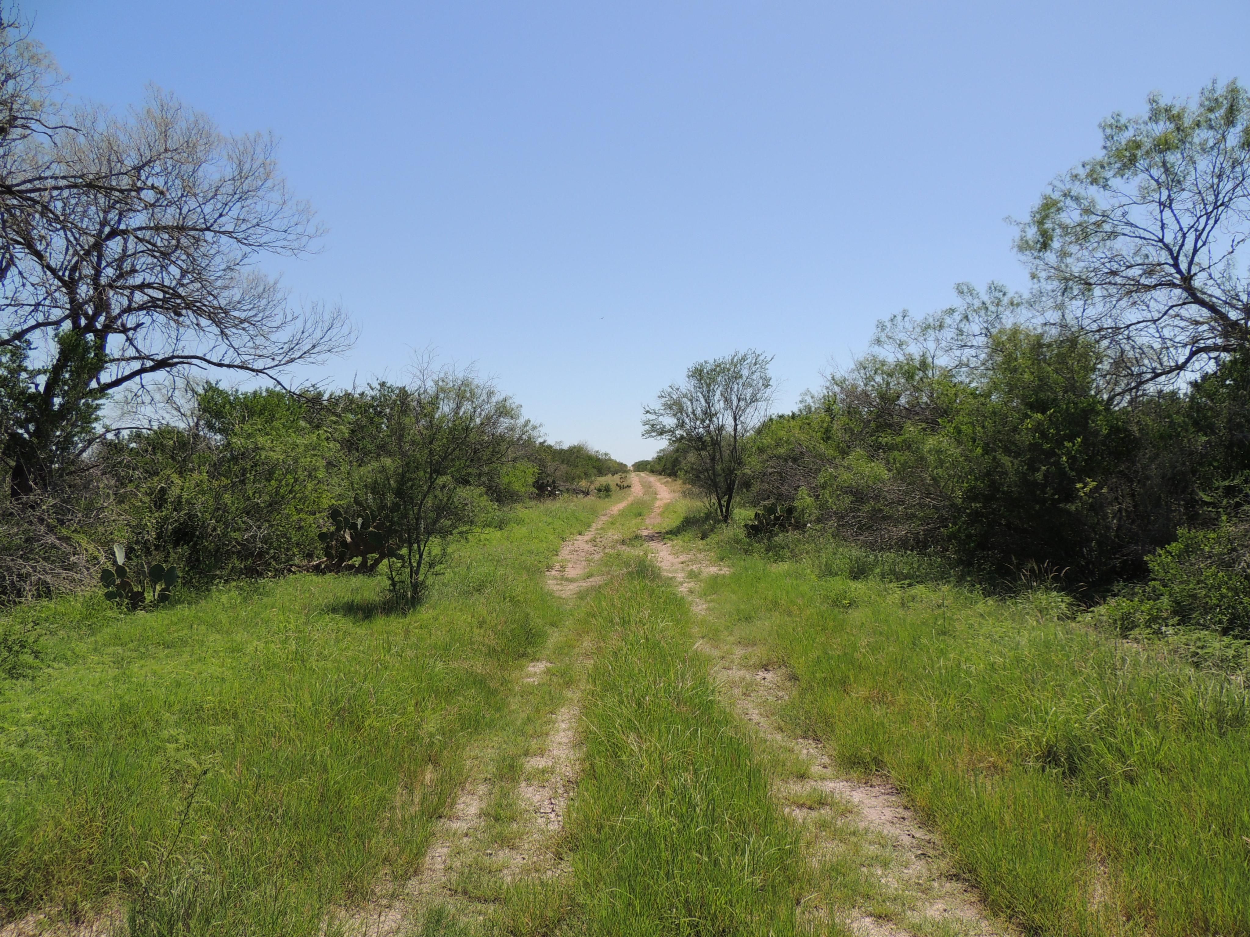 464 acres in Duval County, Texas