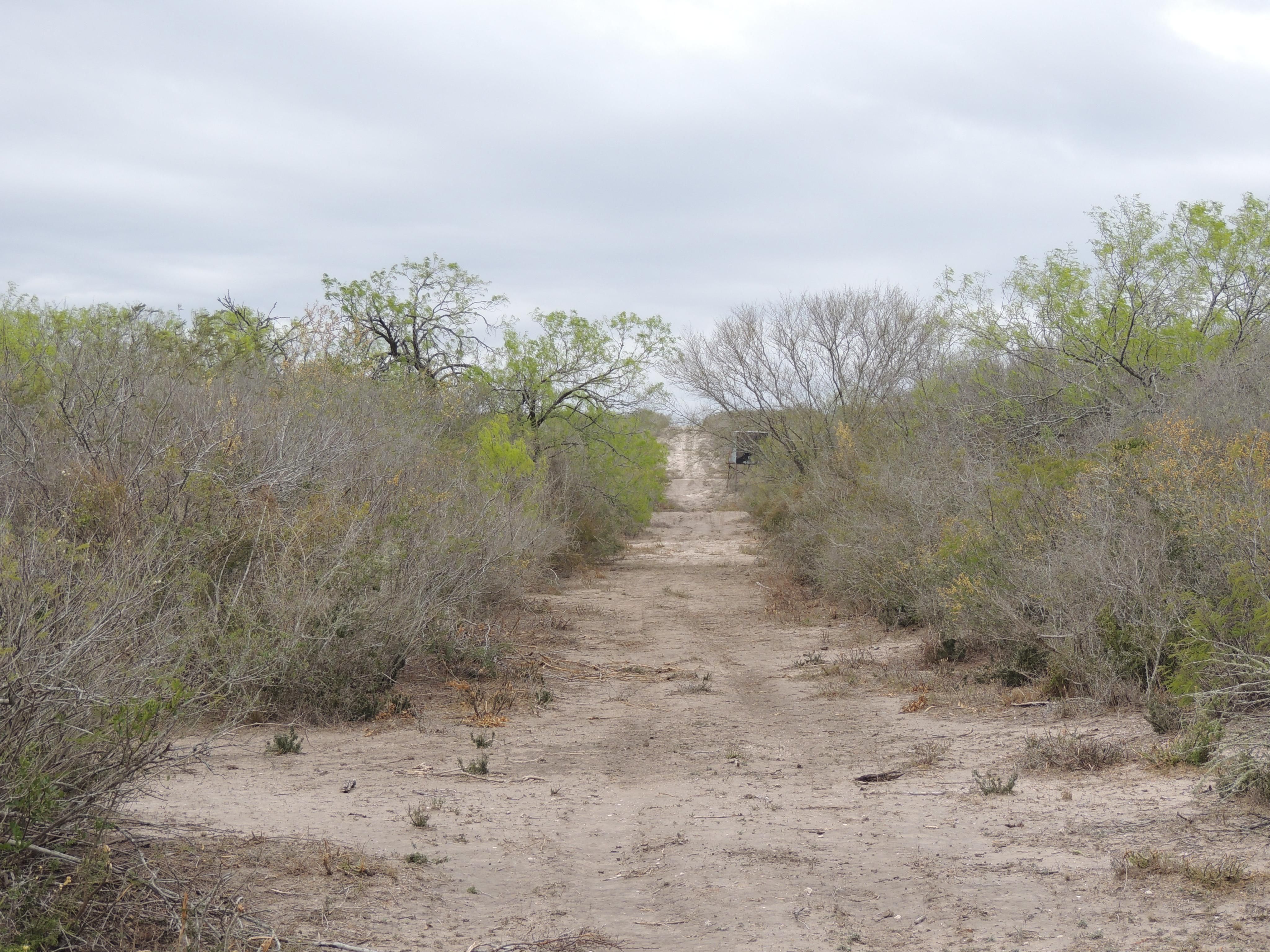 355 acres in Duval County, Texas