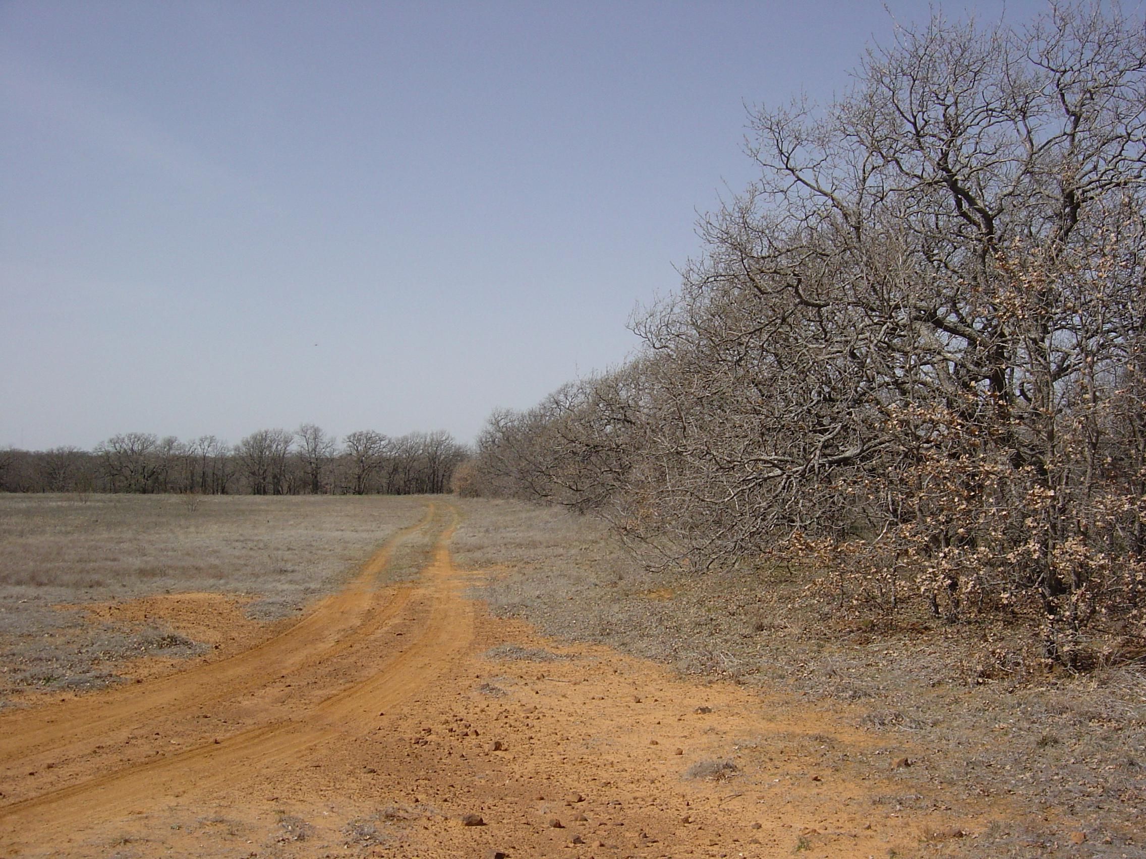 56 acres in Young County, Texas
