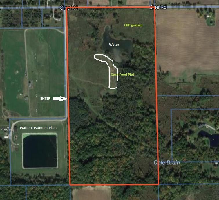 1250 Slee Rd, Onsted, MI 49265