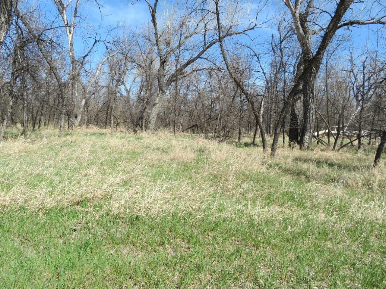 103 acres in Valley County, Montana