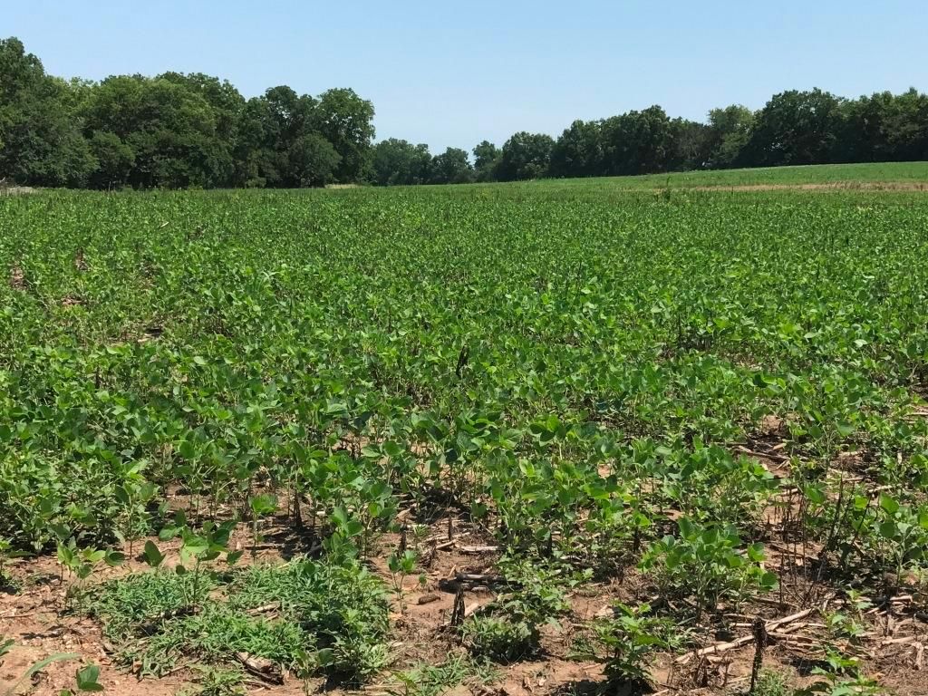 200 acres in Bates County, Missouri