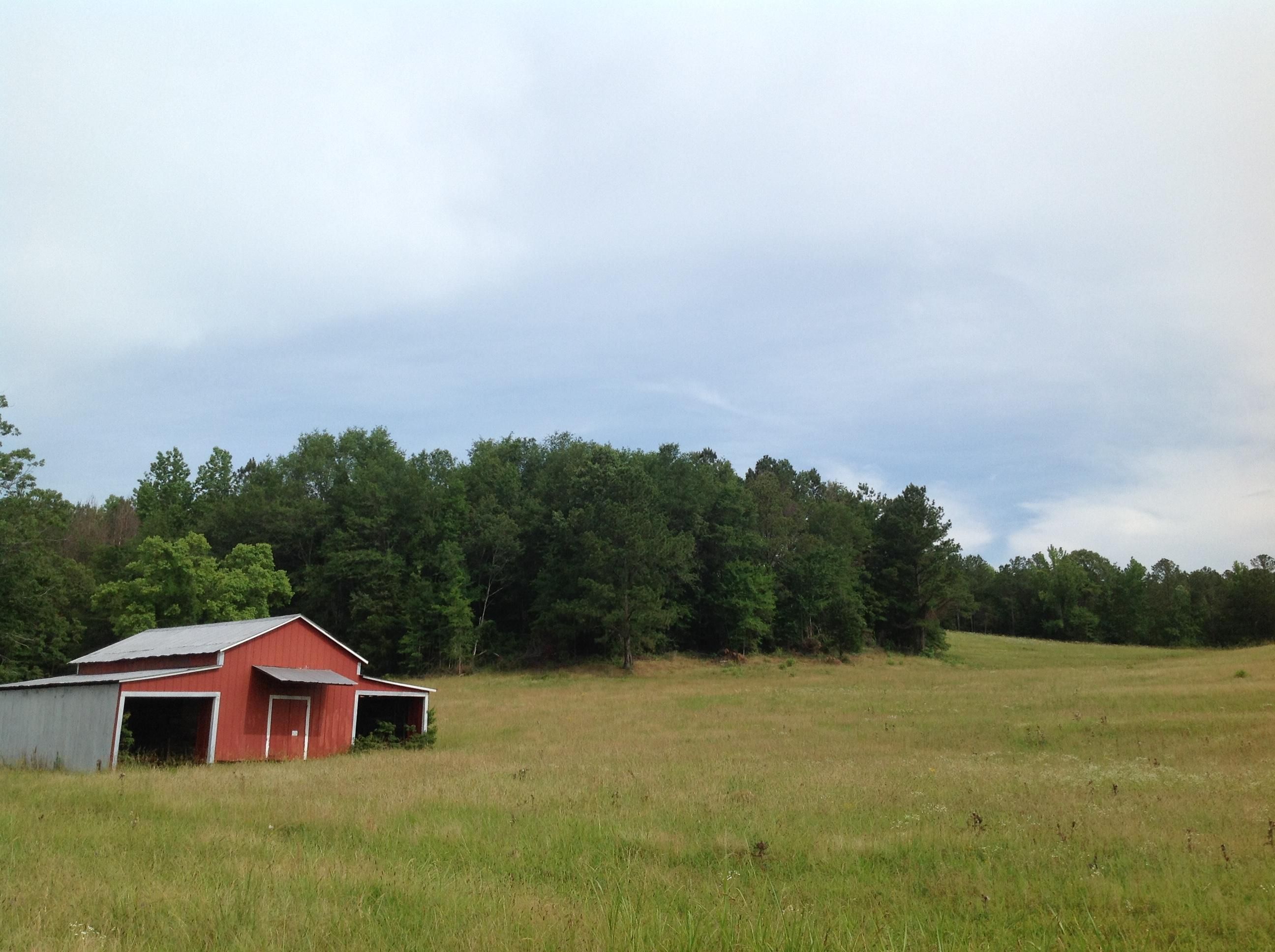 148 acres in Lamar County, Alabama