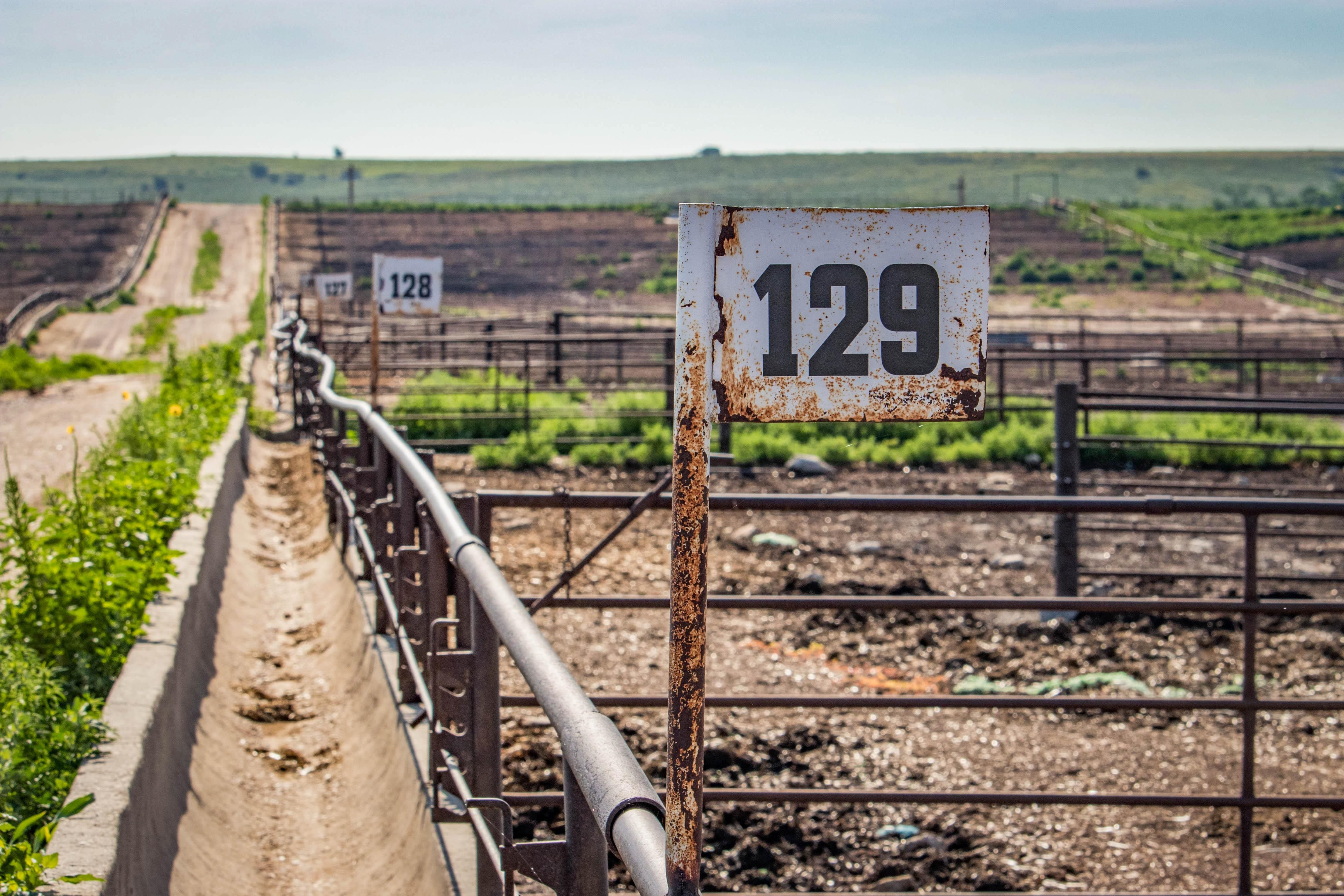 665 acres in Donley County, Texas